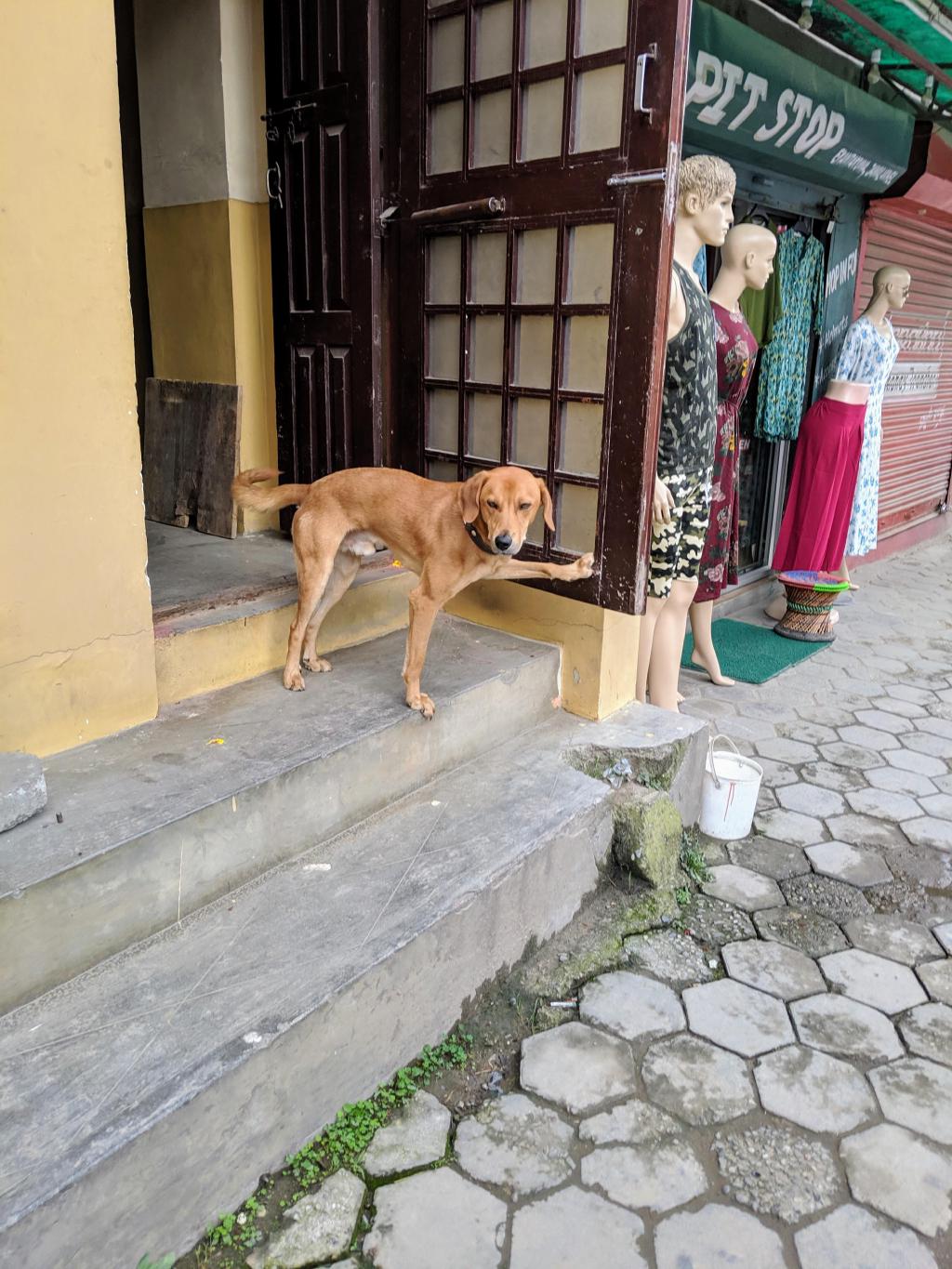 12 - IMG_20190913_160917.jpg