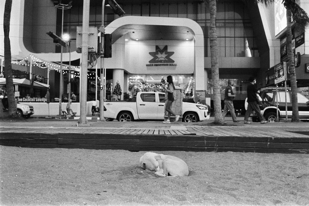 Summer-Winter _21 - 07.jpeg
