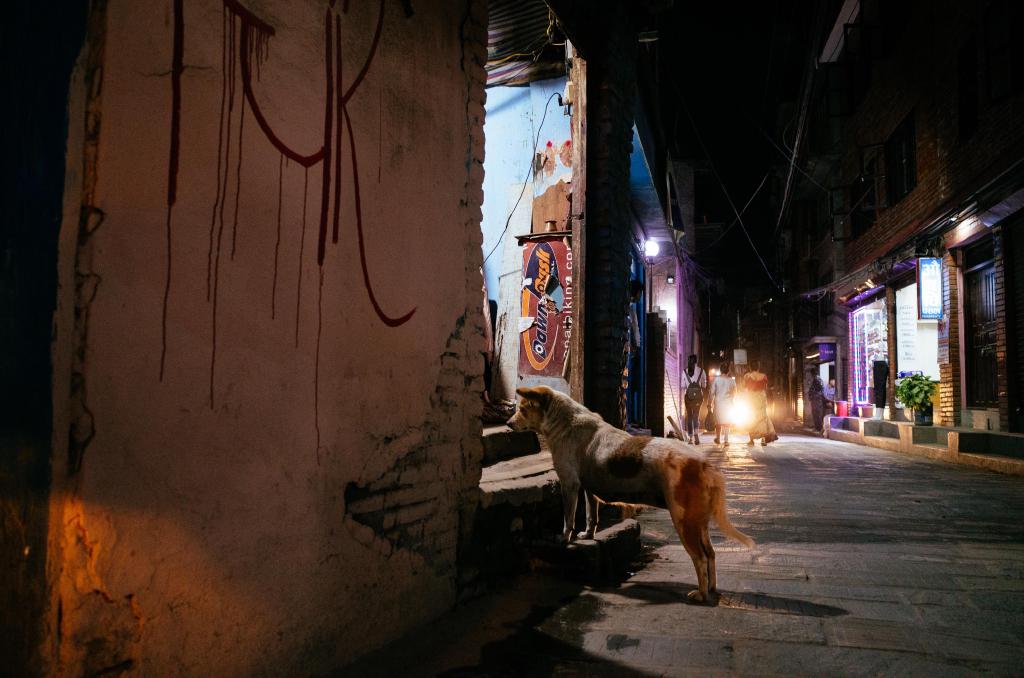 20190823-janmashtami-01.jpg