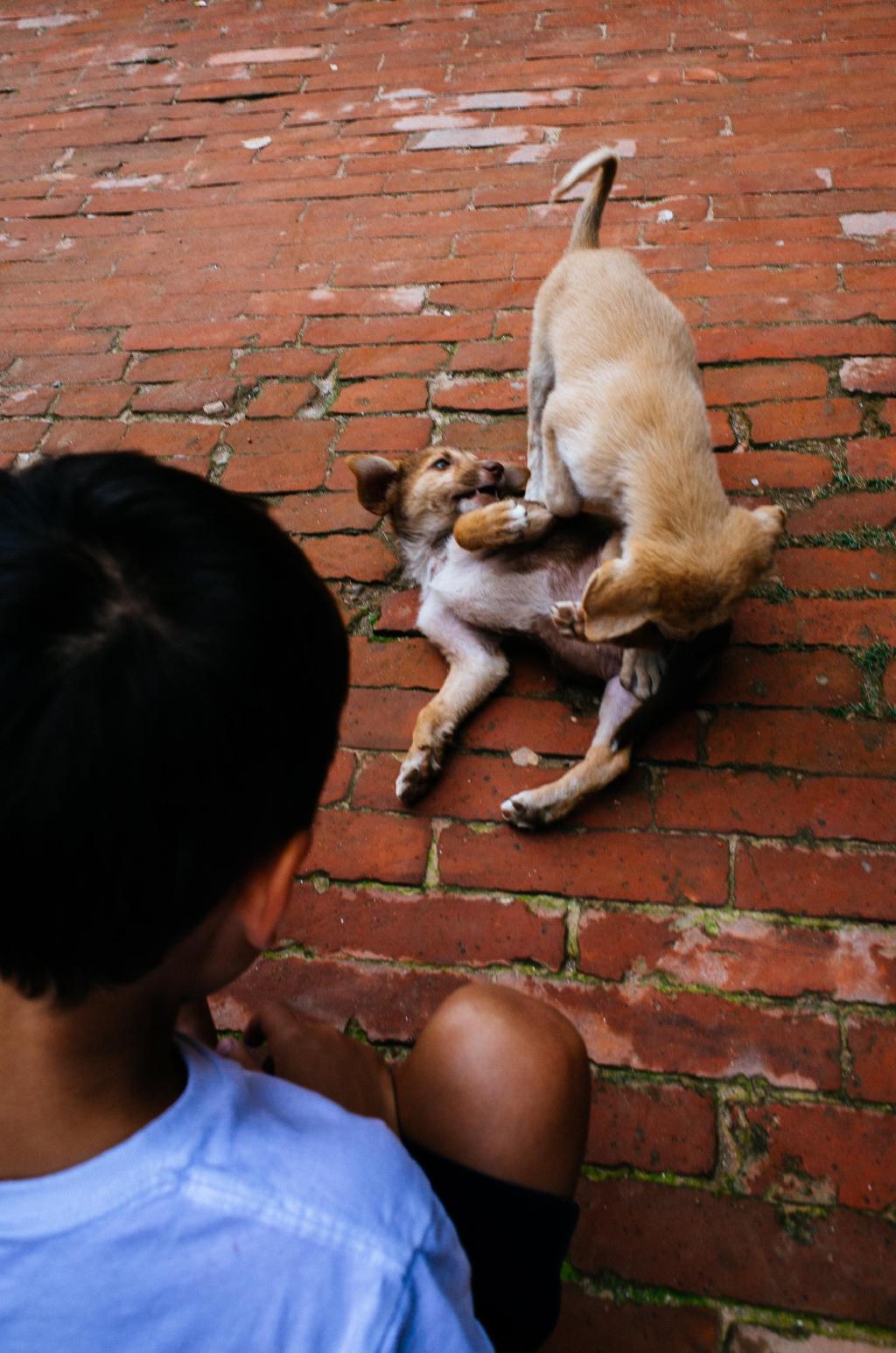20190915-bhaktapur-17.jpg