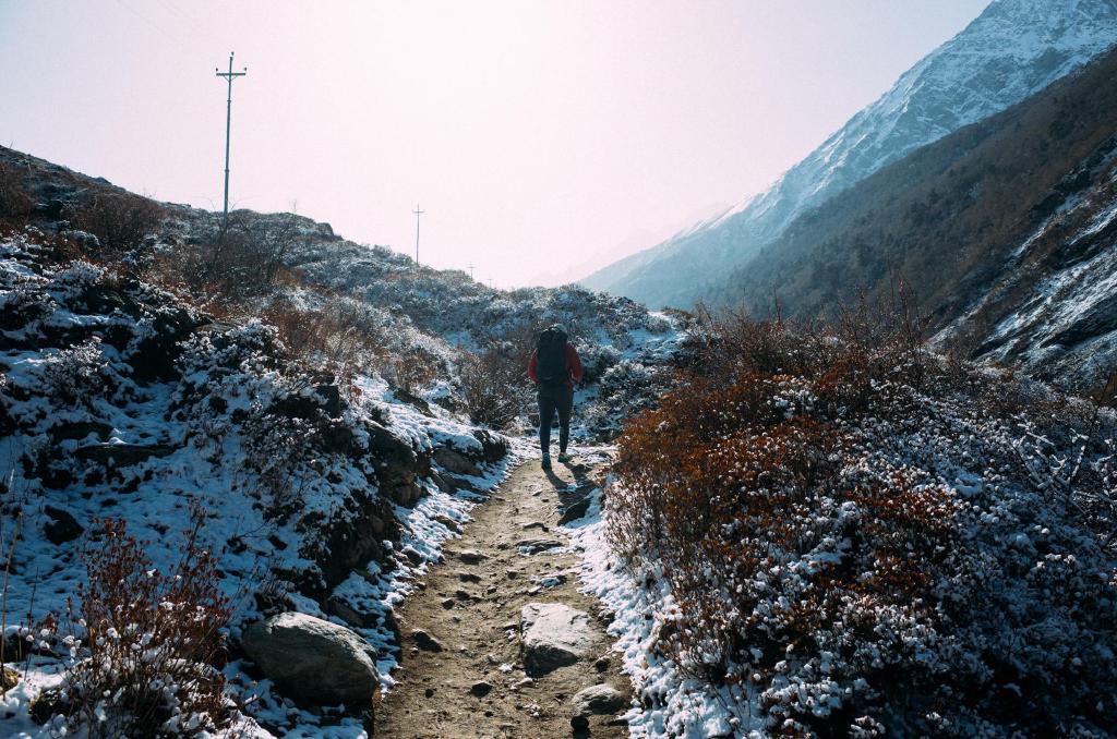 langtang-36.jpg