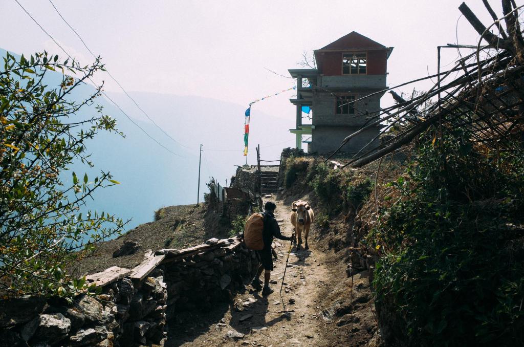 langtang-78.jpg