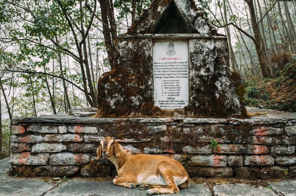poon-hill-9.jpg