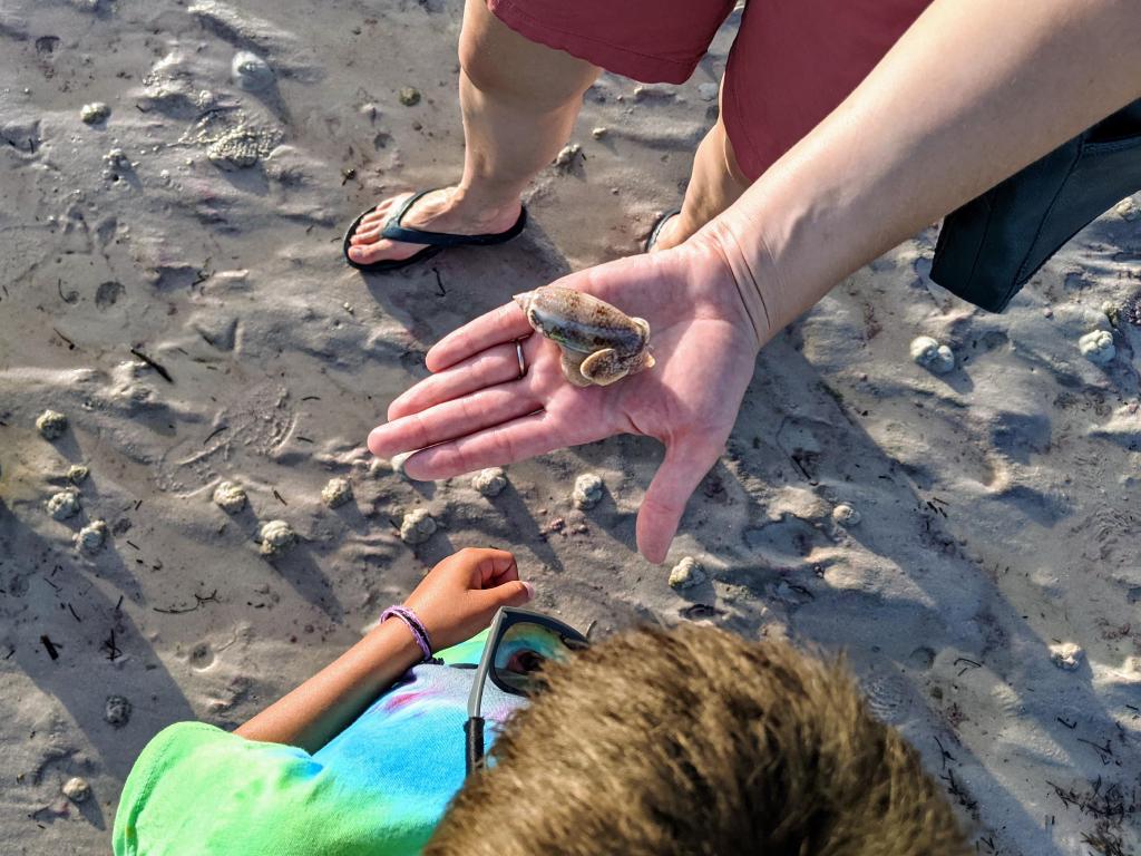 PXL_20210708_234258368.jpg