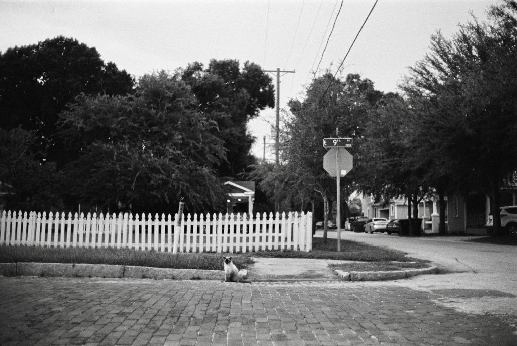 Nepal-Ybor 2021 - 36 of 66.jpeg
