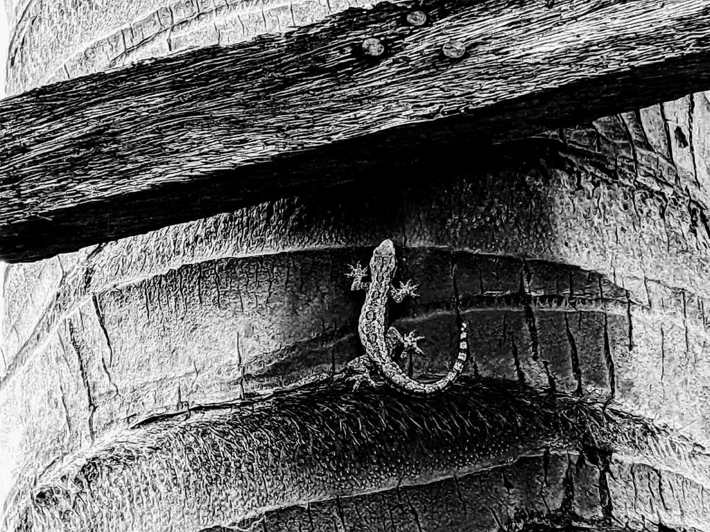 PXL_20220103_023610173~2.jpg