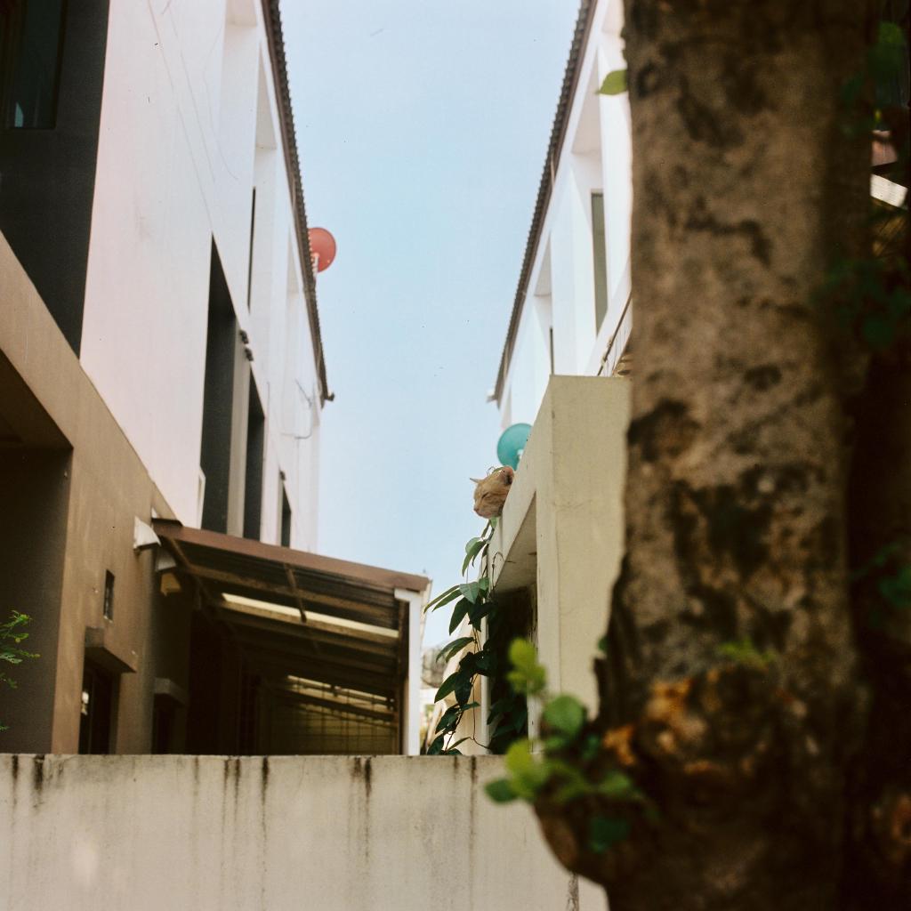 BKK-Nont Photowalk - 7 of 8.jpeg