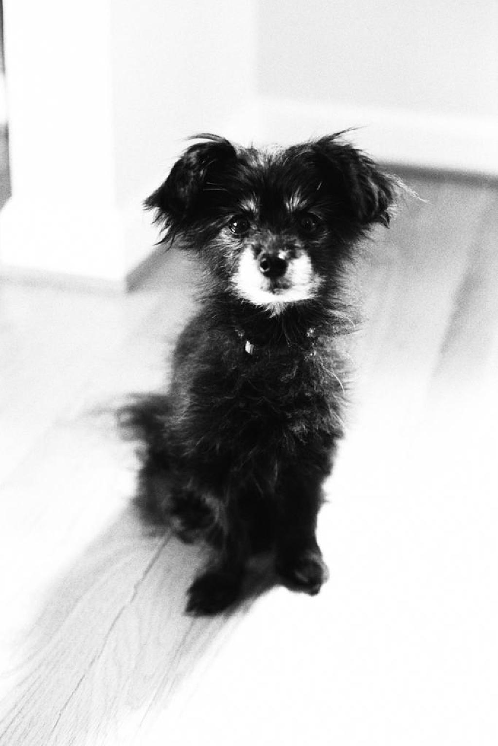 AE-1P-test_AA031.jpg