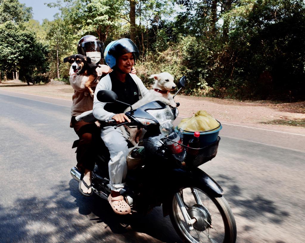 Siem Reap edit - 2 of 24.jpeg