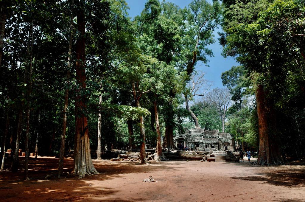 Siem Reap edit - 3 of 24.jpeg