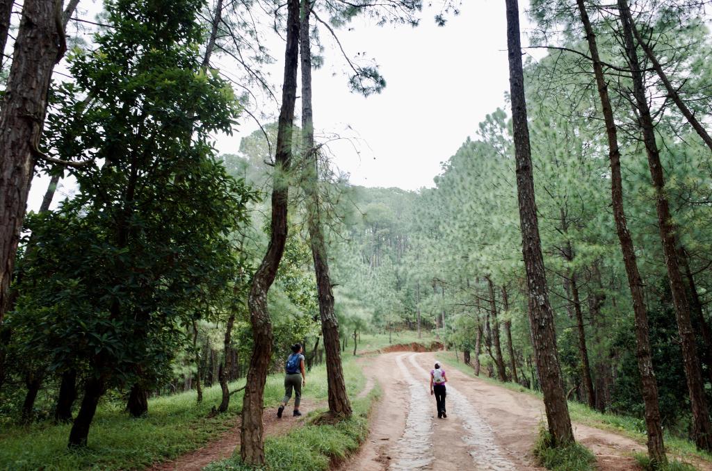 R0022798.jpeg