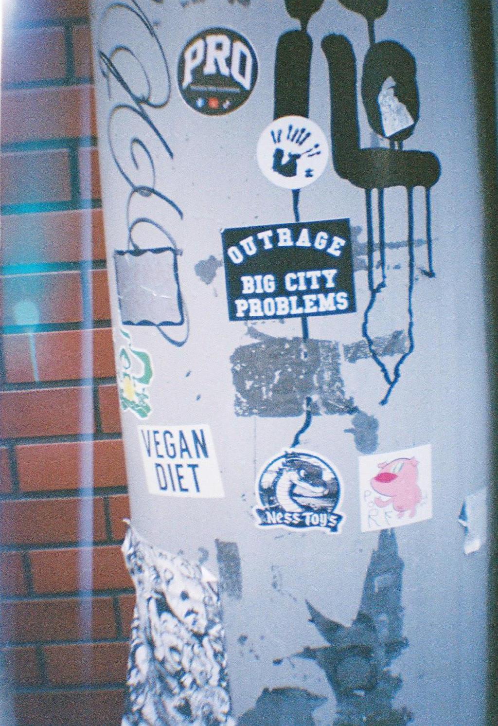 20240404_215814.jpeg