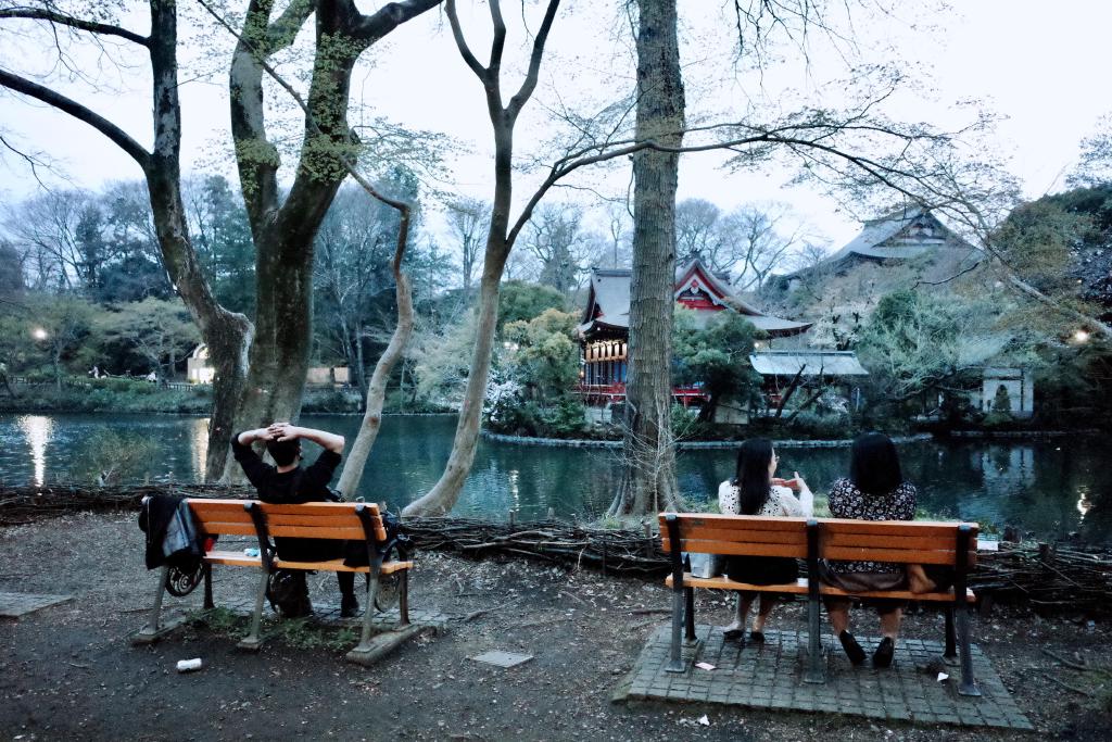 R0023947.jpeg
