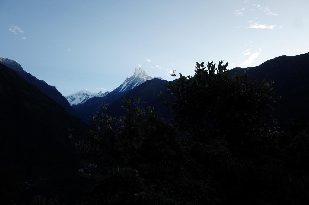 R0025161.JPG