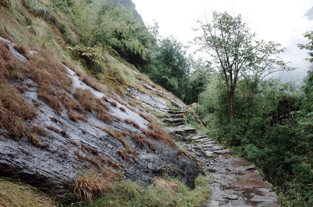 R0025246.JPG