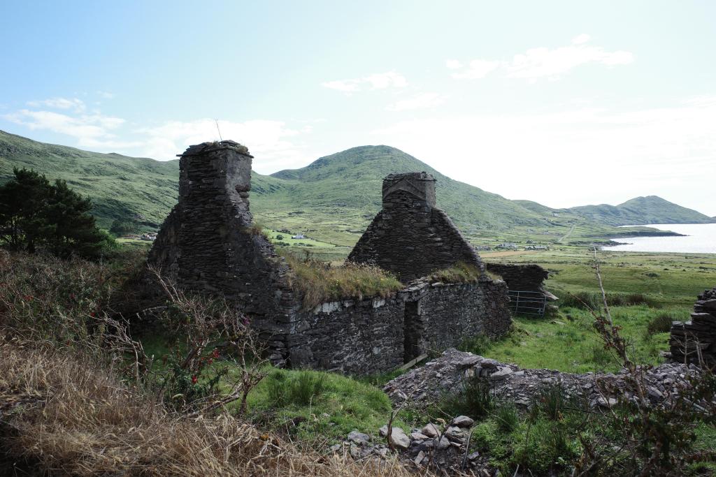 R0004990.JPG