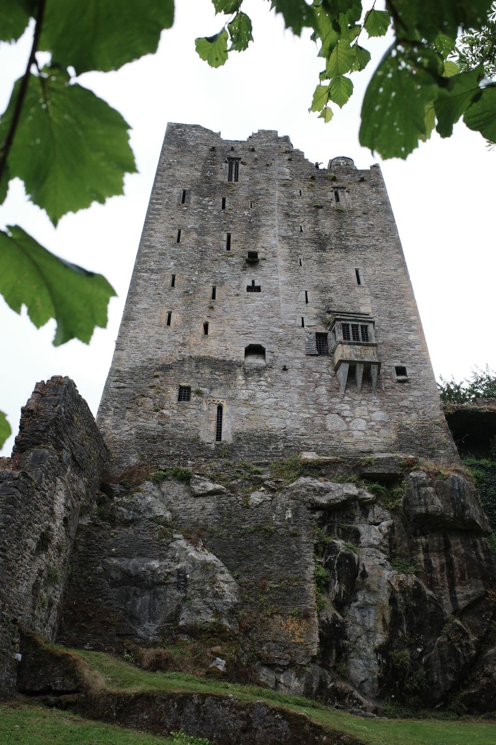 R0005197.JPG