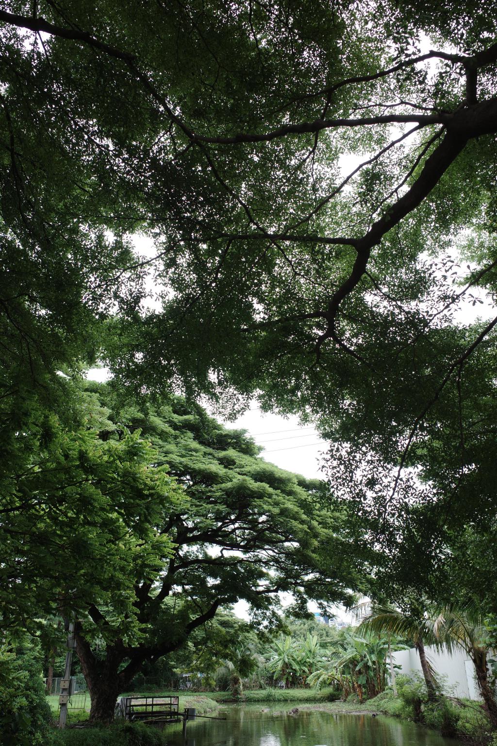 R0005789.JPG