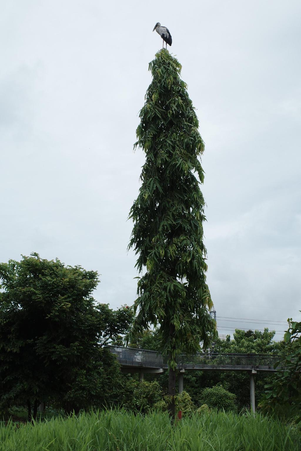 R0005881.JPG