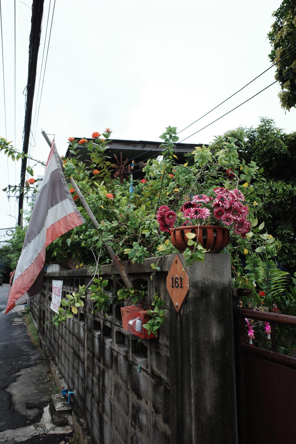 R0005916.JPG