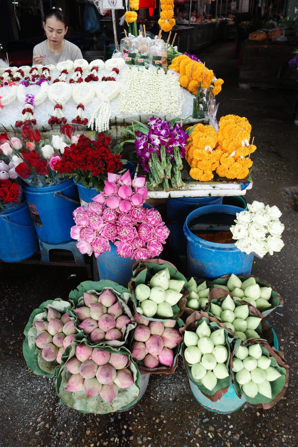 R0006100.JPG