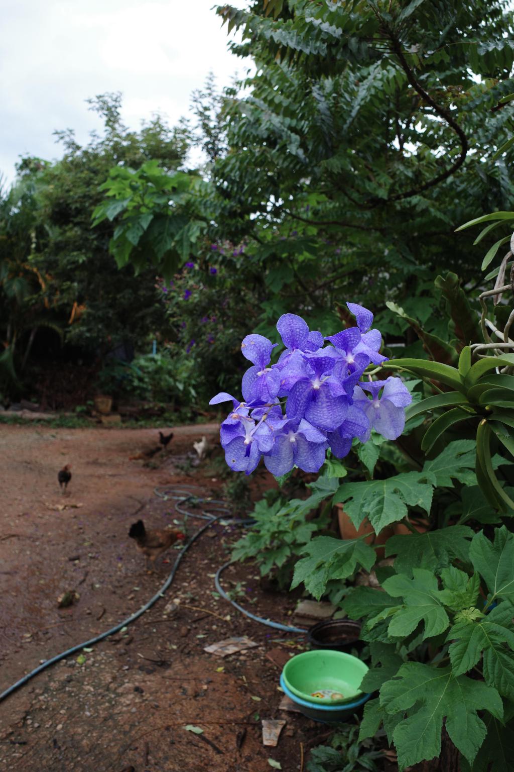 R0006513.JPG