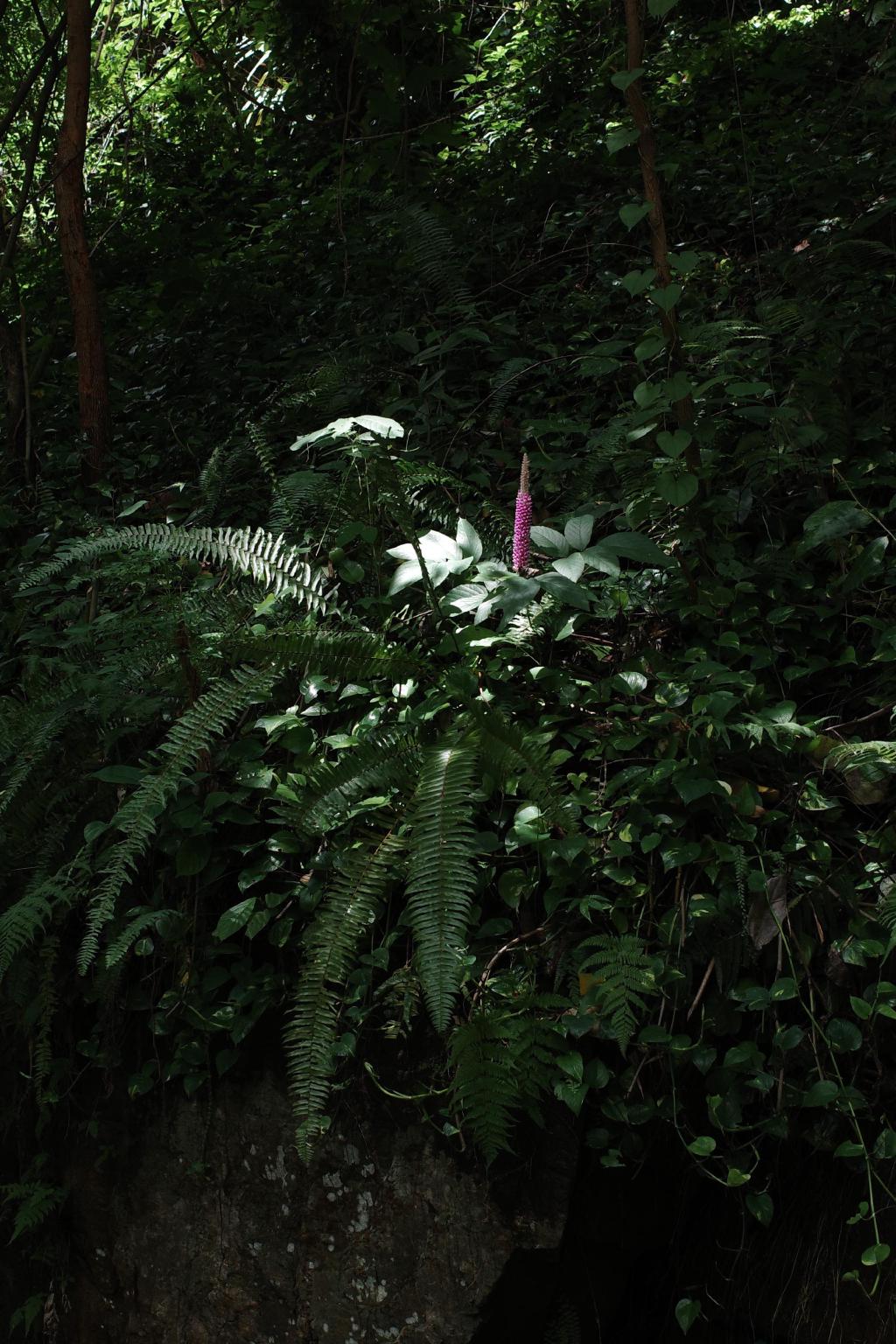 R0006524.JPG