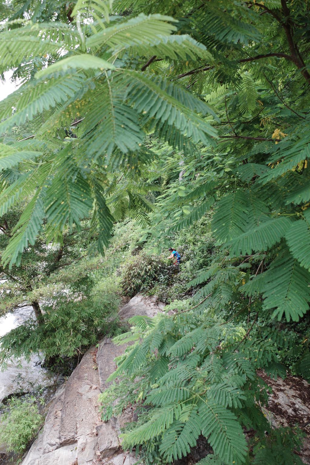 R0006531.JPG