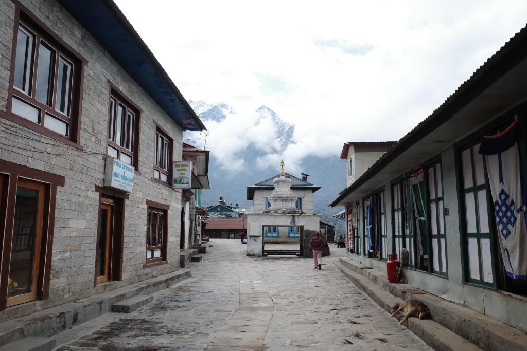 R0008451.JPG