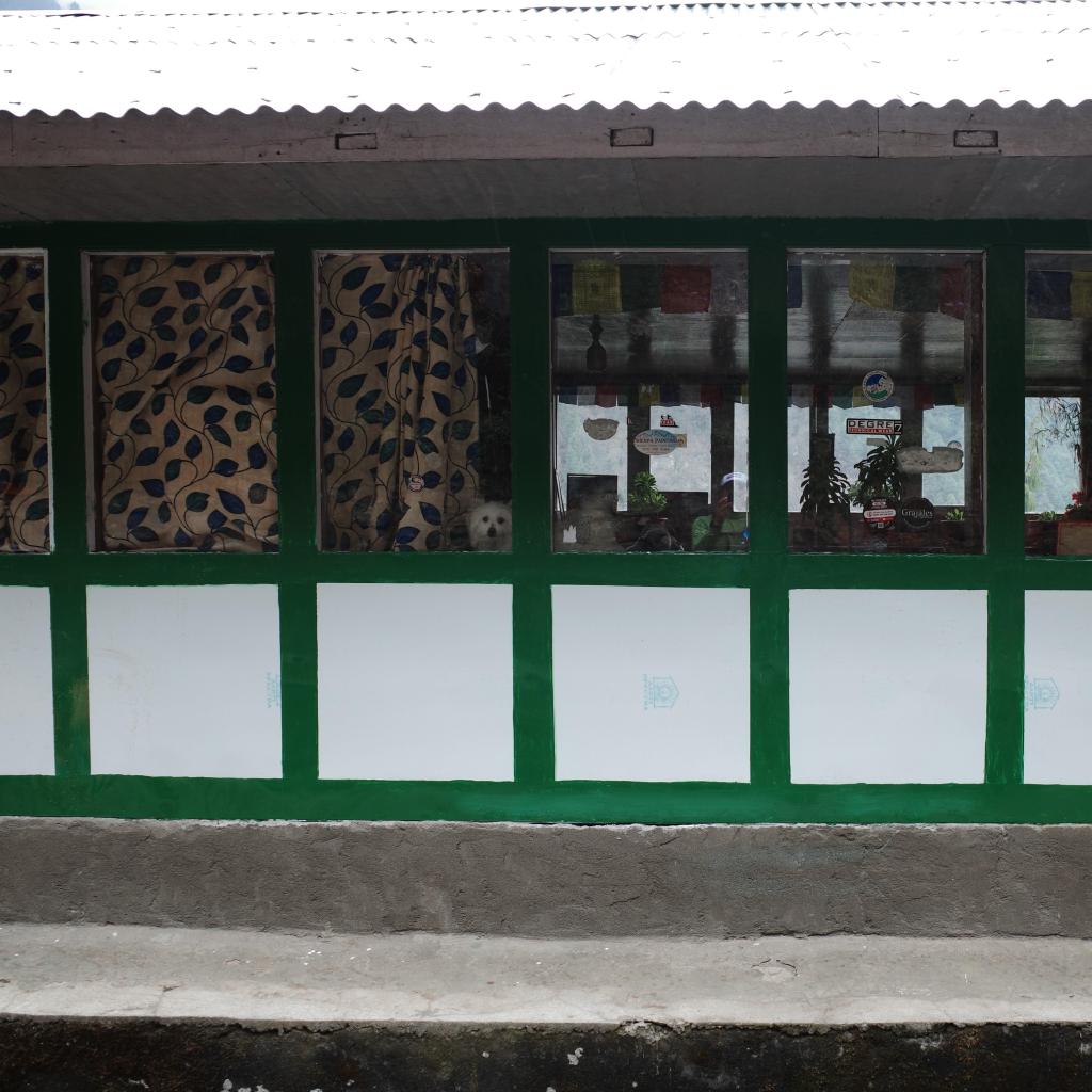 R0008480-edited.JPG