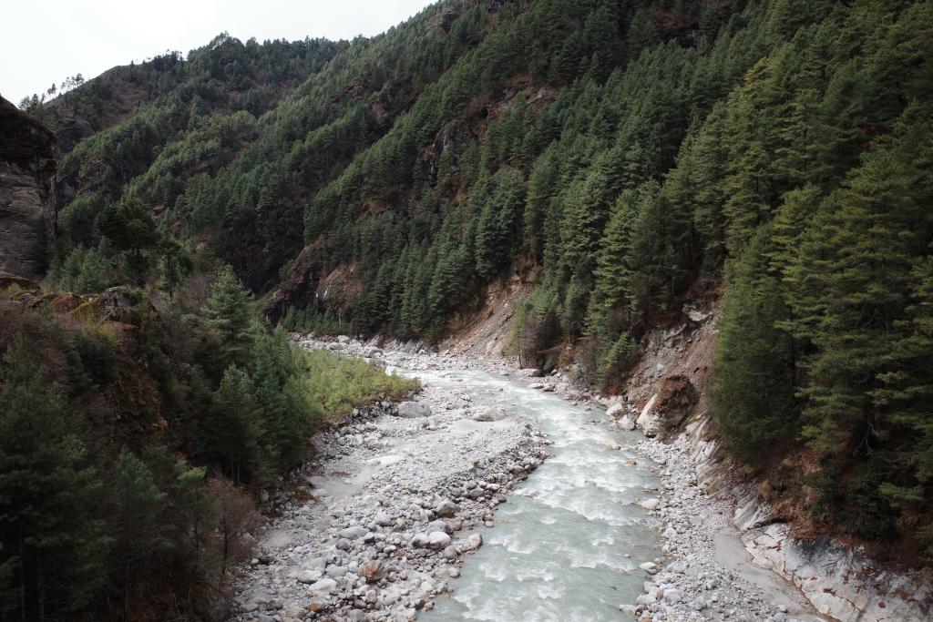 R0008619.JPG