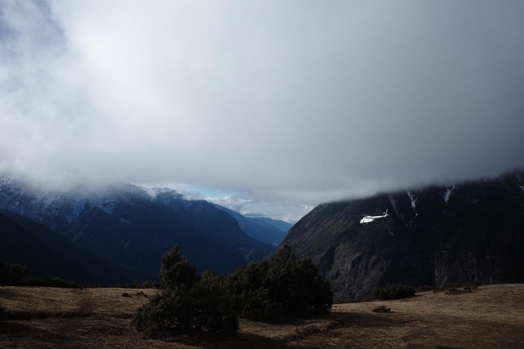 R0008713.JPG