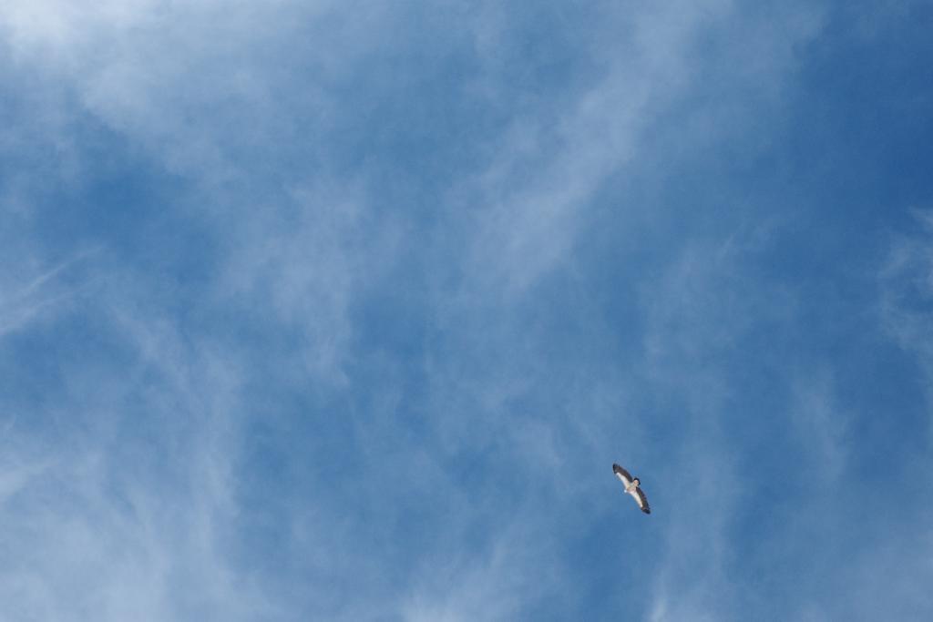 image-resize