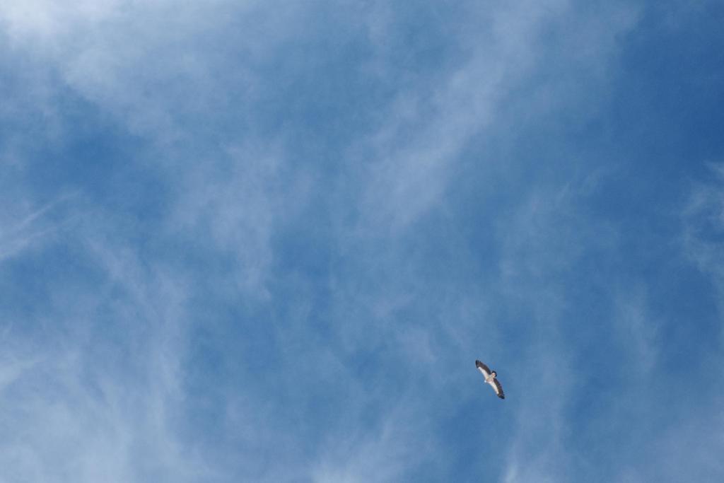 R0009017.JPG