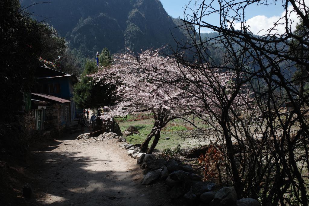 R0009229.JPG